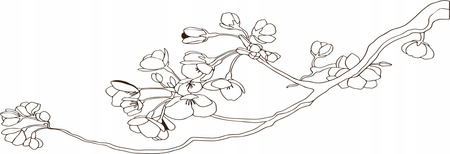 Olej sezamowy nierafinowany Asia Kitchen 150 ml