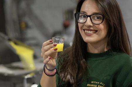 Ekologiczna Oliwa z oliwek extra virgin Voliotis Family 500 ml BIO